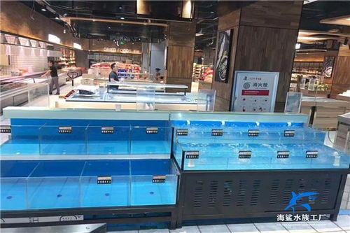 丰城市超市鱼缸制作厂家就选海鲨水族工厂